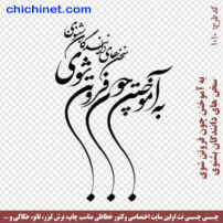 ۱۰۱۰-chichinet